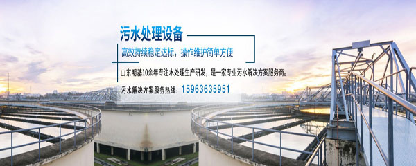 化學發光成像系統